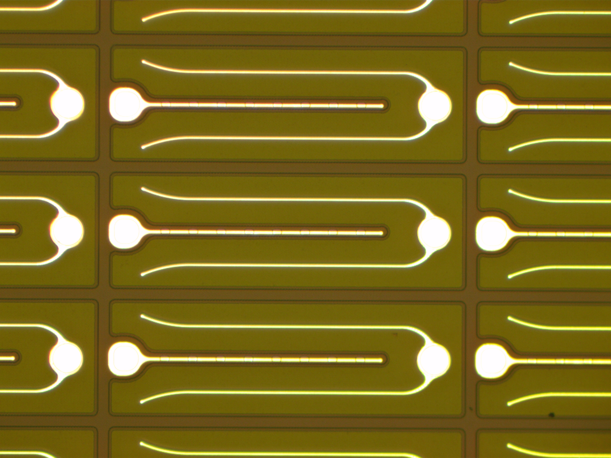 F1229G F1229G