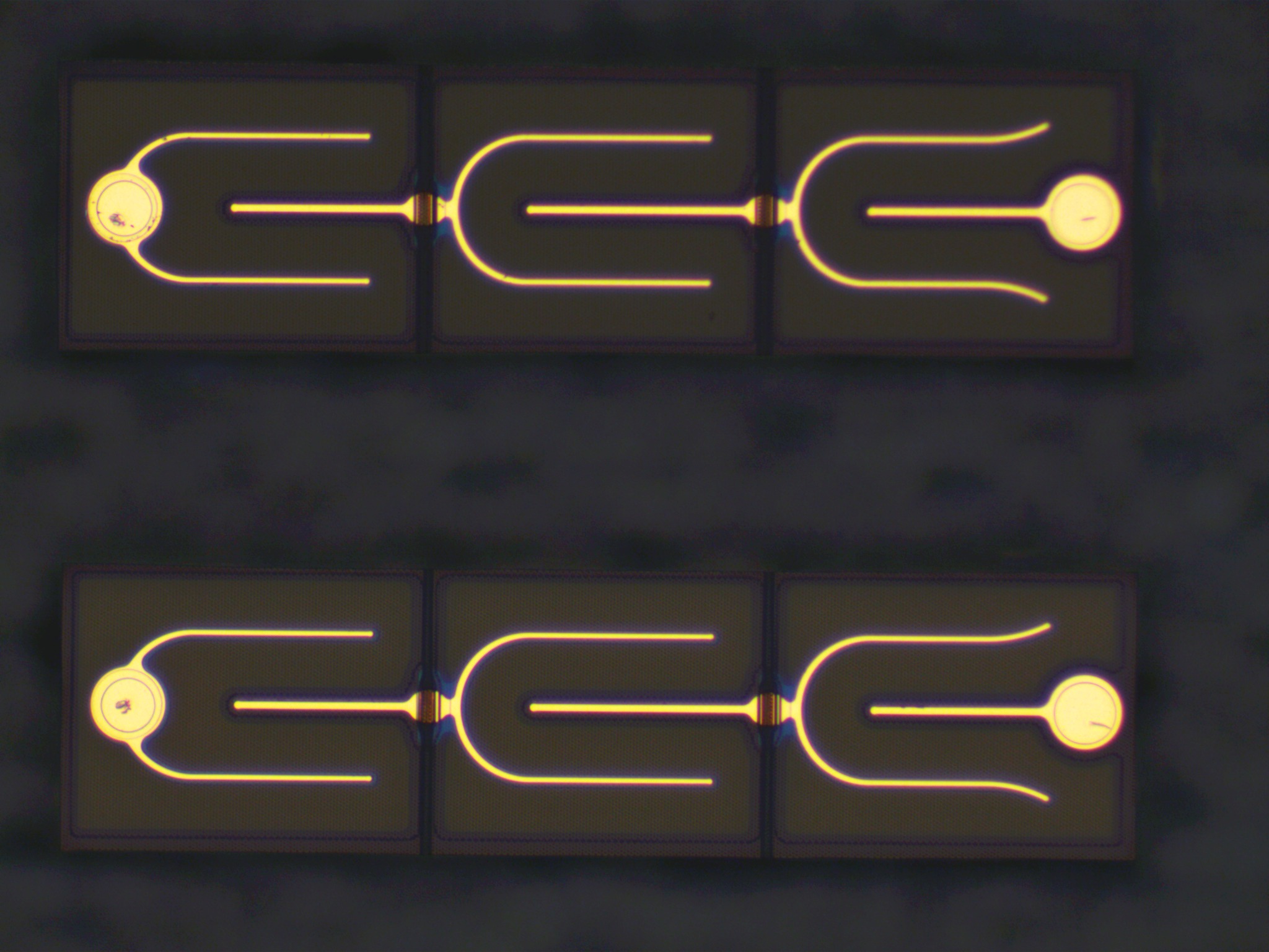F1134E F1134E